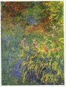 Claude Monet Irises, 1914-17 Spain oil painting reproduction